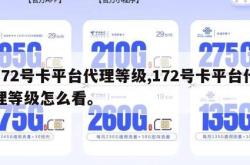 172号卡平台代理等级,172号卡平台代理等级怎么看。