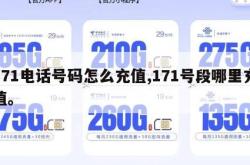171电话号码怎么充值,171号段哪里充值。