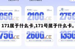 171属于什么卡,171号属于什么卡。