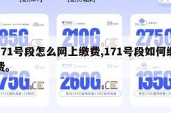 171号段怎么网上缴费,171号段如何缴费。