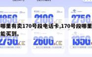 哪里有卖170号段电话卡,170号段哪里能买到。