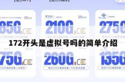 172开头是虚拟号吗的简单介绍