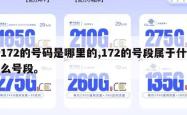 172的号码是哪里的,172的号段属于什么号段。