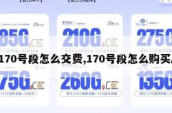 170号段怎么交费,170号段怎么购买。