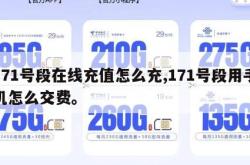 171号段在线充值怎么充,171号段用手机怎么交费。