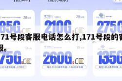 171号段客服电话怎么打,171号段的客服。