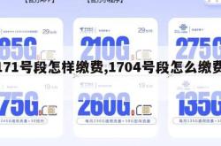 171号段怎样缴费,1704号段怎么缴费。
