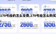 170号段的怎么交费,170号段怎么购买。