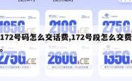 172号码怎么交话费,172号段怎么交费。
