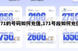 171的号码如何充值,171号段如何充值。