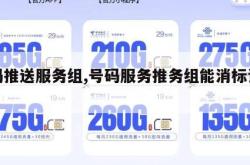 号码推送服务组,号码服务推务组能消标记吗。