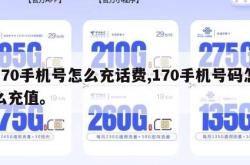 170手机号怎么充话费,170手机号码怎么充值。