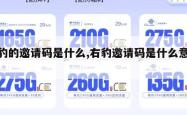 右豹的邀请码是什么,右豹邀请码是什么意思。