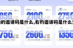 右豹的邀请码是什么,右豹邀请码是什么意思。