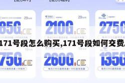 171号段怎么购买,171号段如何交费。