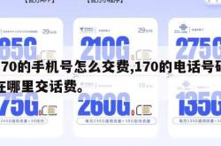 170的手机号怎么交费,170的电话号码在哪里交话费。