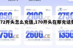 172开头怎么充值,170开头在那充话费。