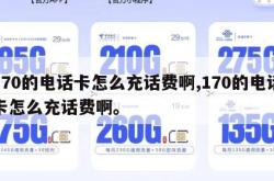 170的电话卡怎么充话费啊,170的电话卡怎么充话费啊。
