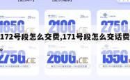 172号段怎么交费,171号段怎么交话费。