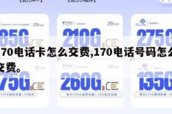 170电话卡怎么交费,170电话号码怎么交费。