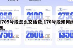 1705号段怎么交话费,170号段如何缴费。