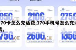 170卡怎么充话费,170手机号怎么充话费。