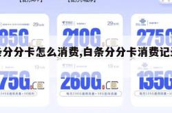 白条分分卡怎么消费,白条分分卡消费记录查询。