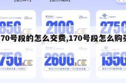 170号段的怎么交费,170号段怎么购买。