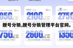 靓号分销,靓号分销管理平台官网。