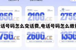 电话号码怎么交话费,电话号码怎么缴费。