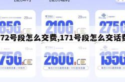 172号段怎么交费,171号段怎么交话费。