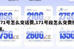 171号怎么交话费,171号段怎么交费视频。