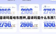 邀请码是啥东西啊,邀请码是什么东西?。