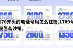 170开头的电话号码怎么注销,1709号段怎么注销。
